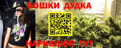мдпв Ачхой-Мартан
