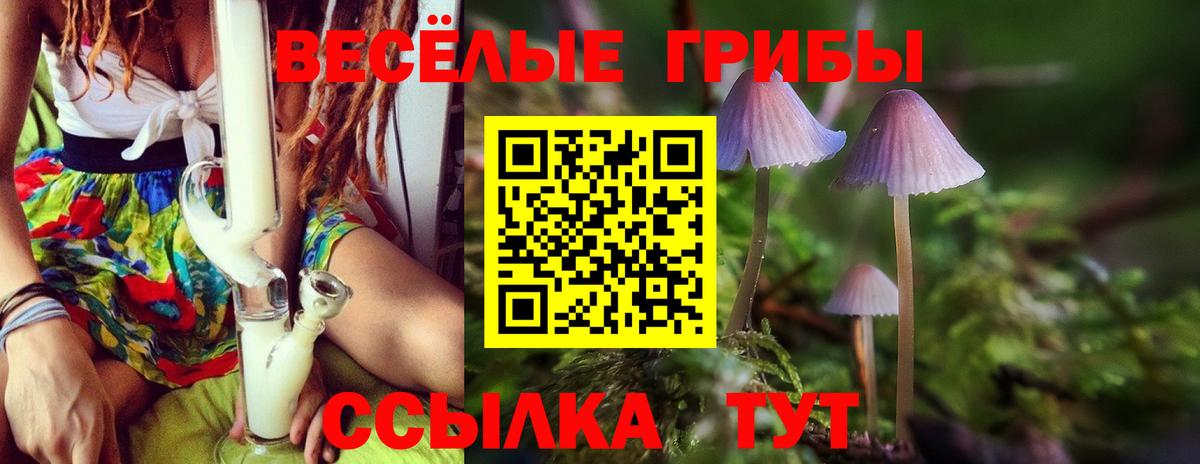 Галлюциногенные грибы ЛСД  Псилоцибиновые грибы мицелий  Вход с VPN  Зерноград 