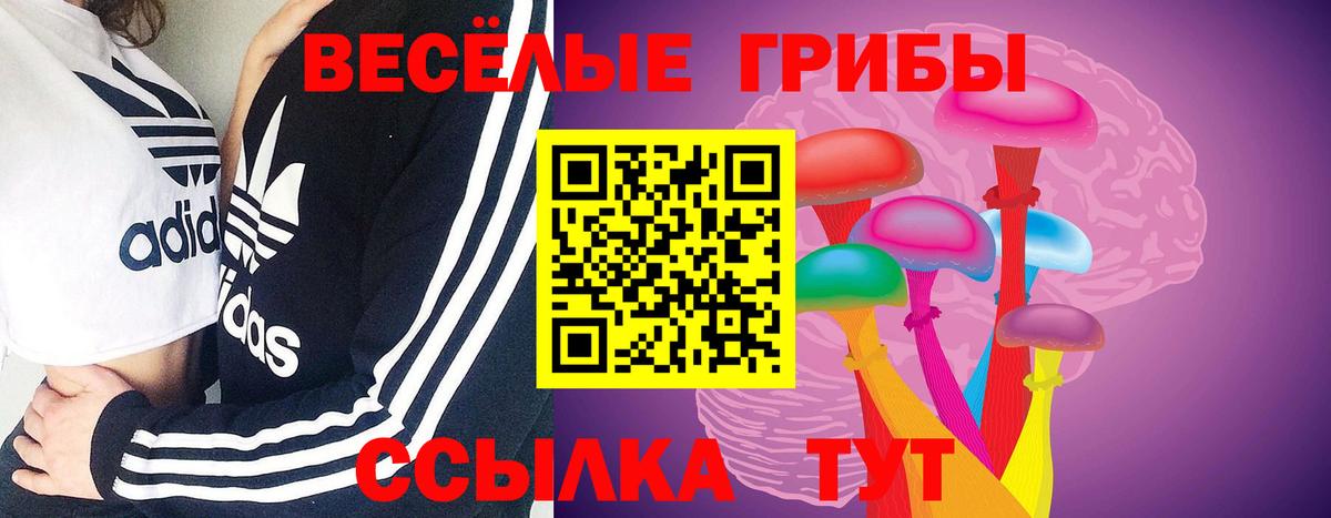 Псилоцибиновые грибы GOLDEN TEACHER Зерноград